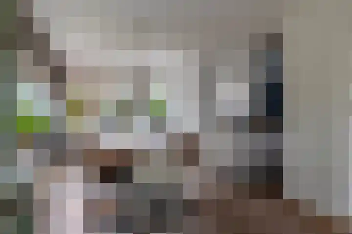 De Buitengracht 54 Steenwijk thumbnail 4