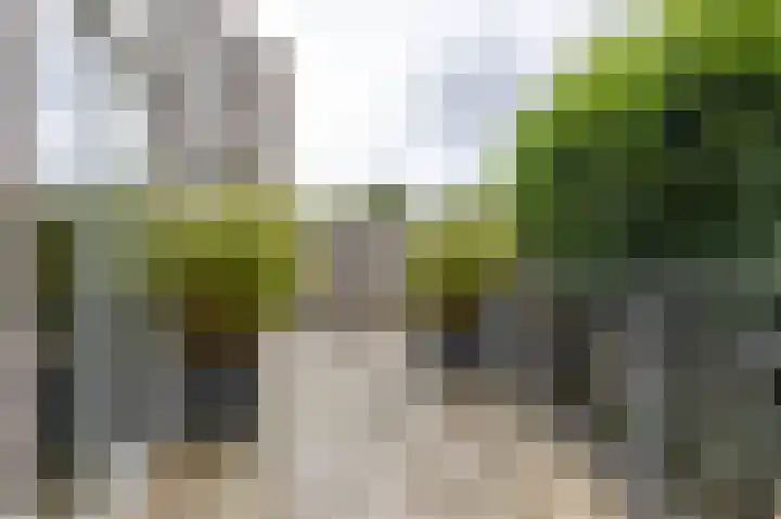 De Buitengracht 54 Steenwijk thumbnail 40