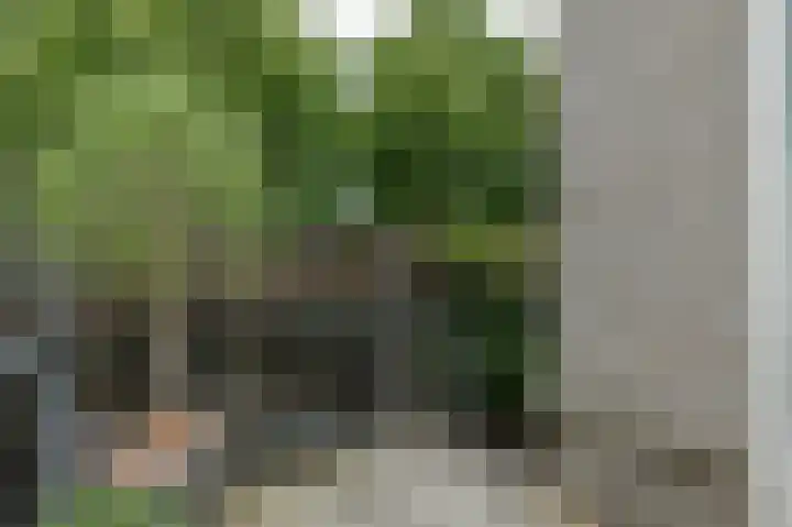 De Buitengracht 54 Steenwijk thumbnail 41