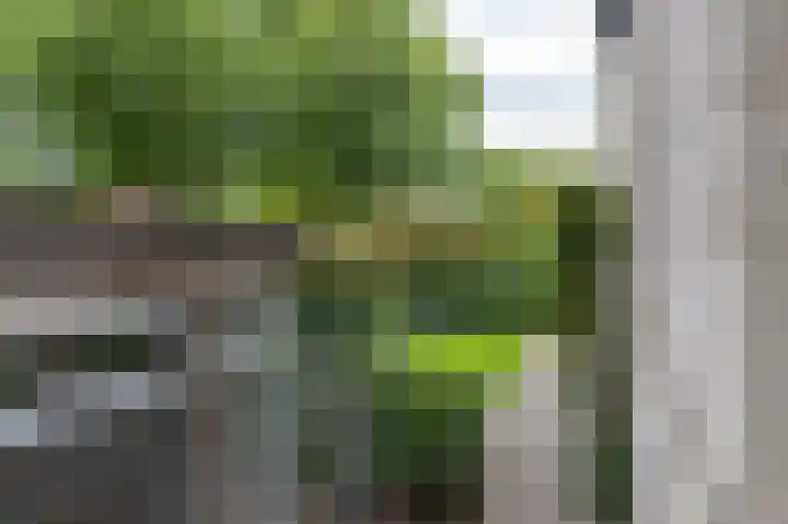 De Buitengracht 54 Steenwijk thumbnail 42