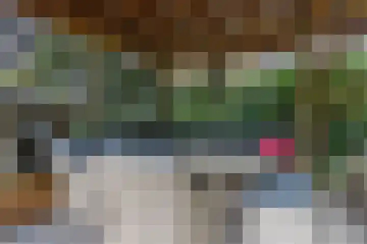 De Buitengracht 54 Steenwijk thumbnail 44