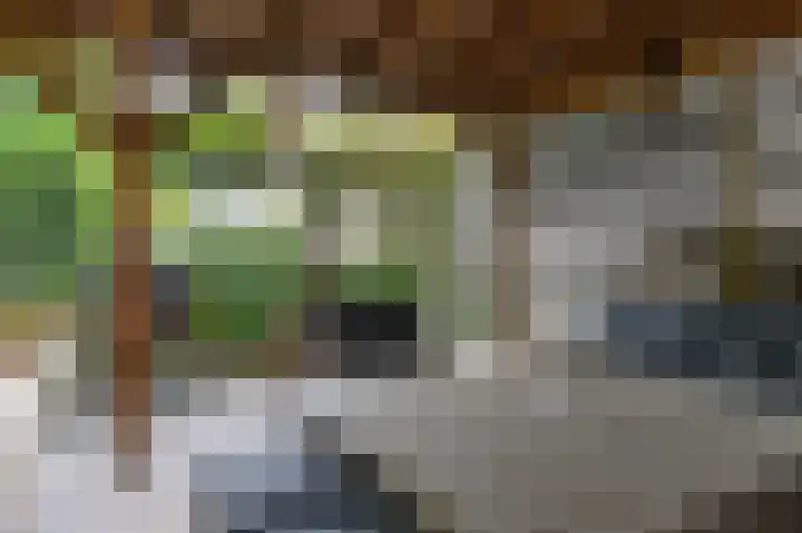 De Buitengracht 54 Steenwijk thumbnail 45
