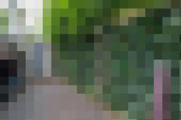 De Buitengracht 54 Steenwijk thumbnail 46