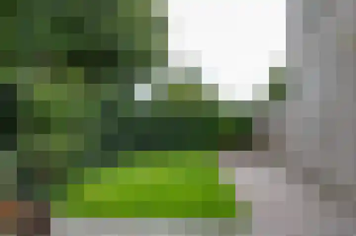 De Buitengracht 54 Steenwijk thumbnail 47
