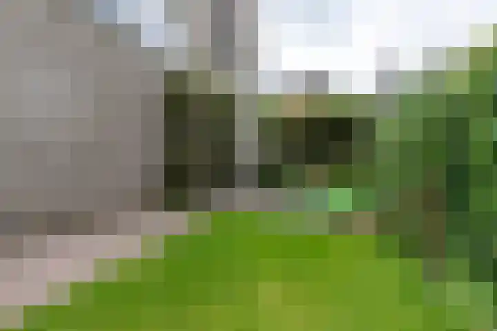 De Buitengracht 54 Steenwijk thumbnail 48