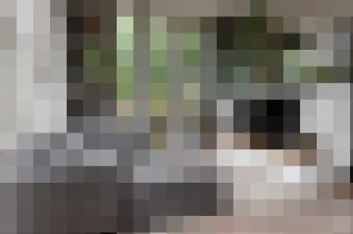 De Buitengracht 54 Steenwijk thumbnail 6