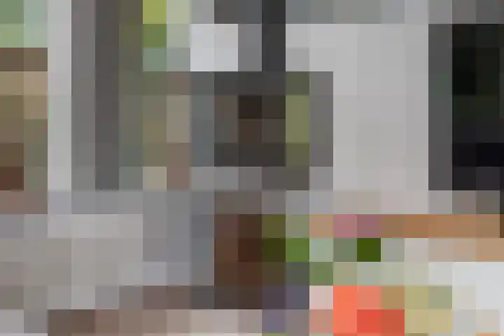 De Buitengracht 54 Steenwijk thumbnail 7