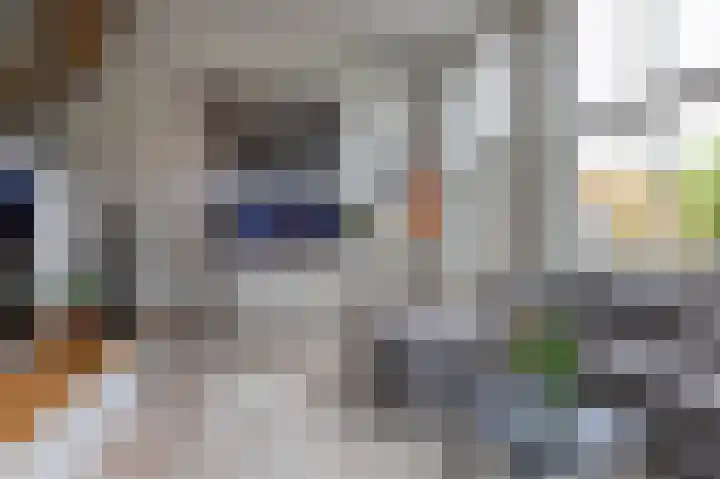 De Buitengracht 54 Steenwijk thumbnail 8