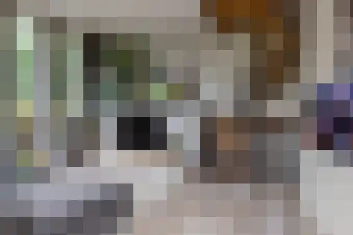 De Buitengracht 54 Steenwijk thumbnail 9