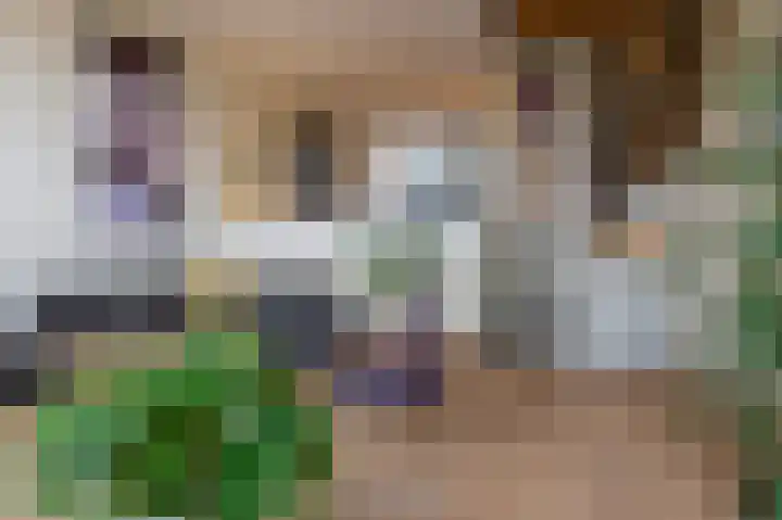 De Buitengracht 58 Steenwijk thumbnail 12