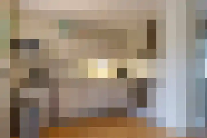 De Buitengracht 58 Steenwijk thumbnail 20