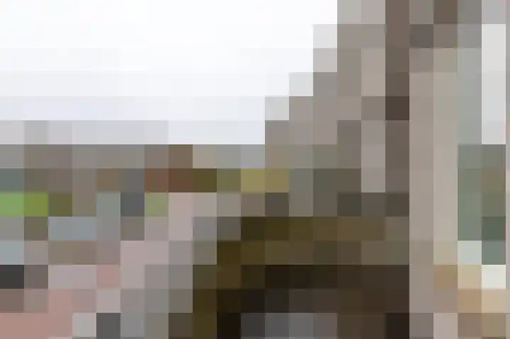 De Buitengracht 58 Steenwijk thumbnail 23