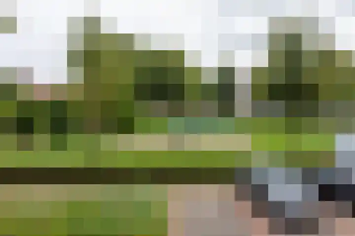 De Buitengracht 58 Steenwijk thumbnail 25