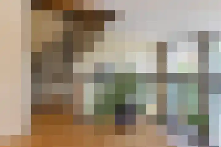 De Buitengracht 58 Steenwijk thumbnail 27