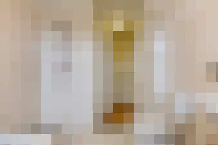 De Buitengracht 58 Steenwijk thumbnail 31