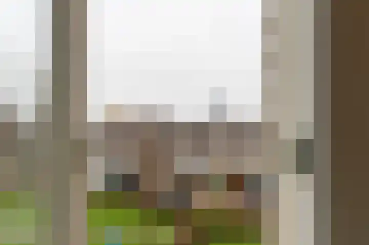 De Buitengracht 58 Steenwijk thumbnail 4