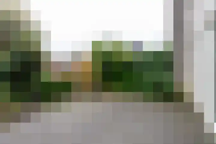 De Buitengracht 58 Steenwijk thumbnail 47