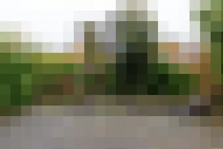 De Buitengracht 58 Steenwijk thumbnail 48