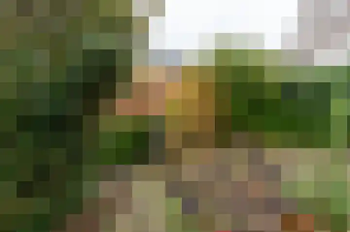 De Buitengracht 58 Steenwijk thumbnail 49