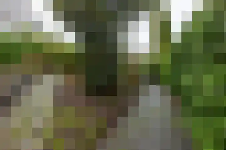 De Buitengracht 58 Steenwijk thumbnail 50
