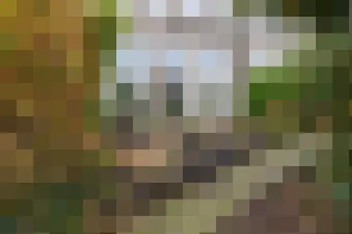 De Buitengracht 58 Steenwijk thumbnail 51