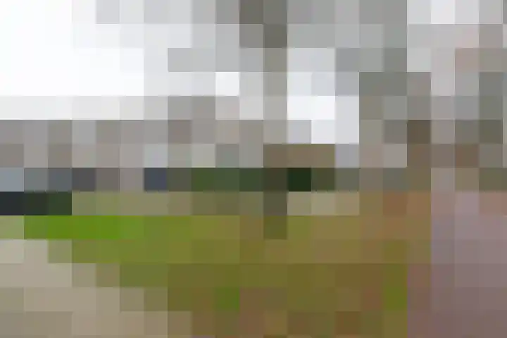 De Buitengracht 58 Steenwijk thumbnail 55