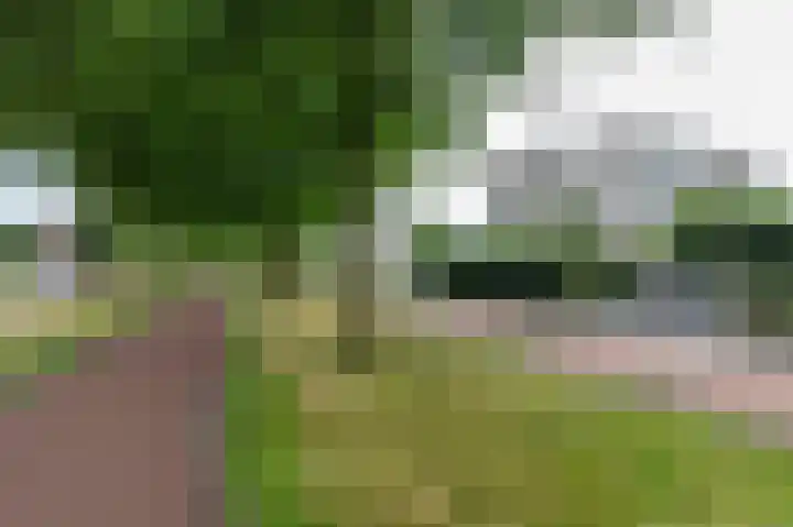 De Buitengracht 58 Steenwijk thumbnail 6
