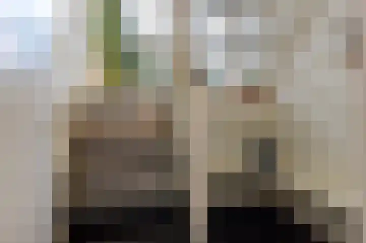 De Buitengracht 58 Steenwijk thumbnail 8
