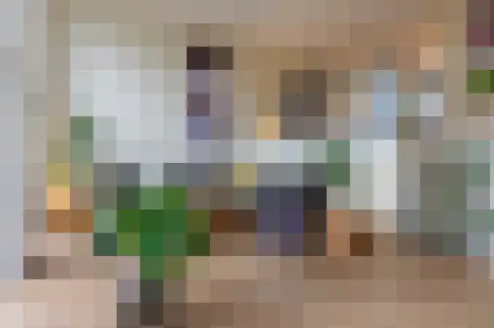 De Buitengracht 58 Steenwijk thumbnail 9