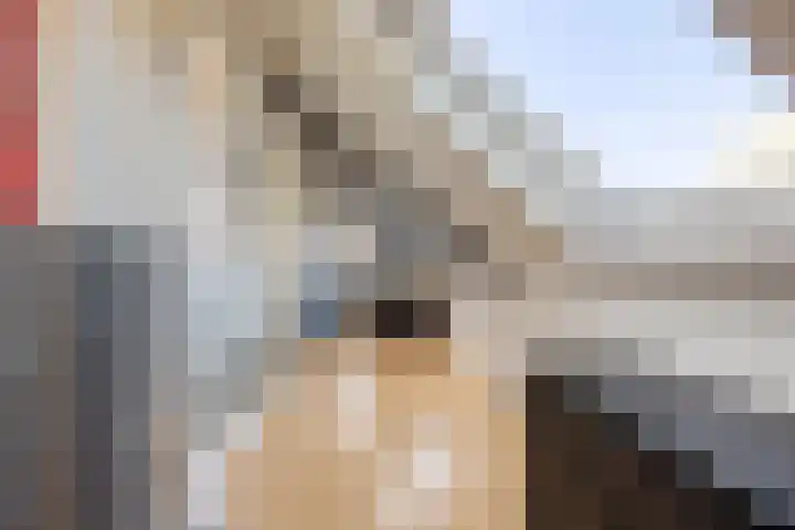 De Buitengracht 80 Steenwijk thumbnail 24