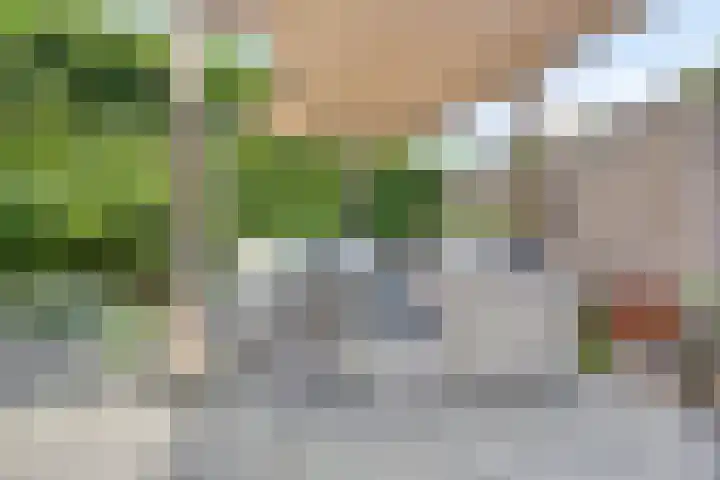 De Buitengracht 80 Steenwijk thumbnail 31
