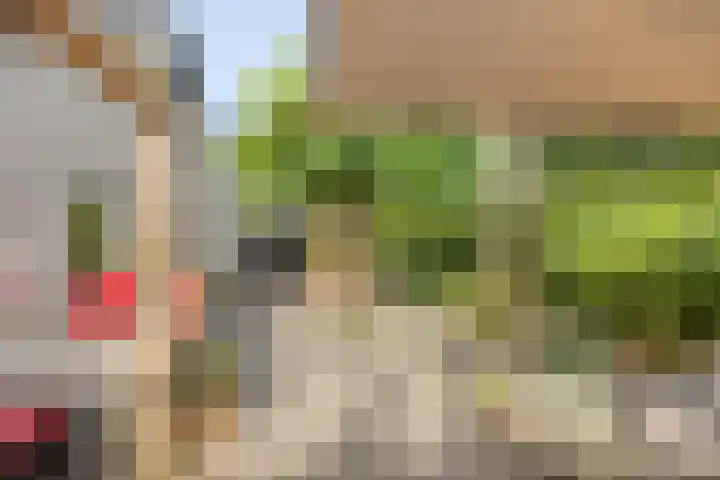 De Buitengracht 80 Steenwijk thumbnail 32
