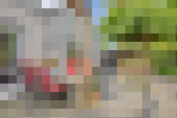 De Buitengracht 80 Steenwijk thumbnail 33