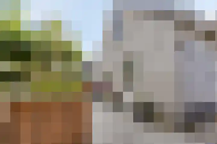 De Buitengracht 80 Steenwijk thumbnail 35