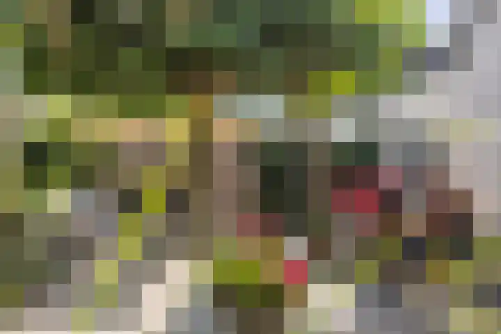 De Buitengracht 80 Steenwijk thumbnail 36