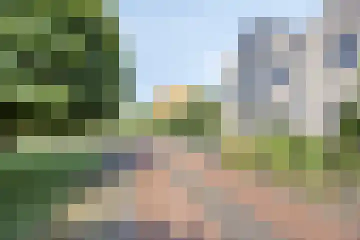 De Buitengracht 80 Steenwijk thumbnail 37