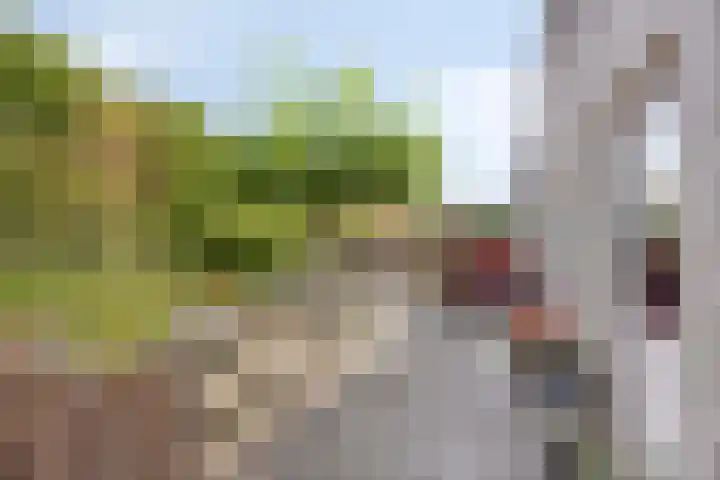 De Buitengracht 80 Steenwijk thumbnail 4