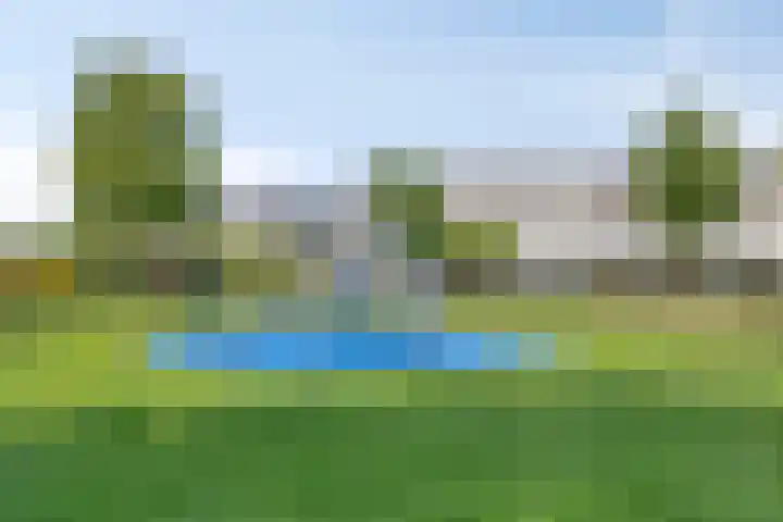 De Buitengracht 80 Steenwijk thumbnail 41