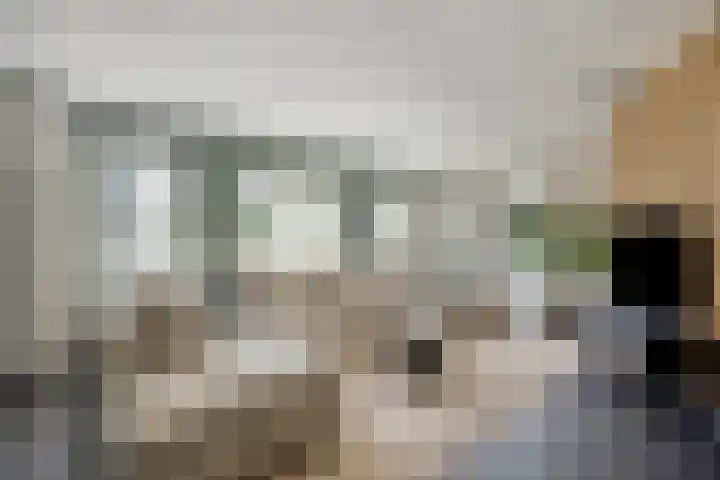 De Buitengracht 80 Steenwijk thumbnail 5