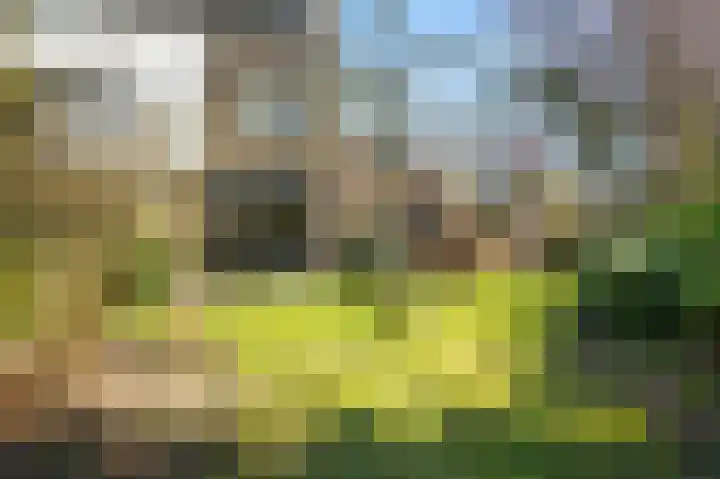 De Buitentuin 12 Apeldoorn thumbnail 29