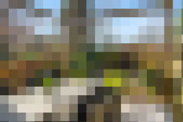 De Buitentuin 12 Apeldoorn thumbnail 31