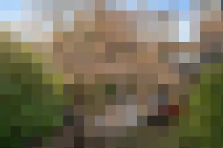 De Buitentuin 12 Apeldoorn thumbnail 32
