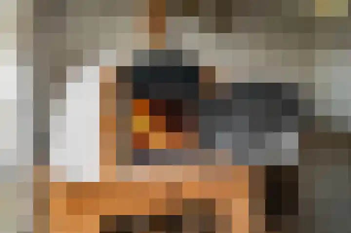 De Buitentuin 12 Apeldoorn thumbnail 38