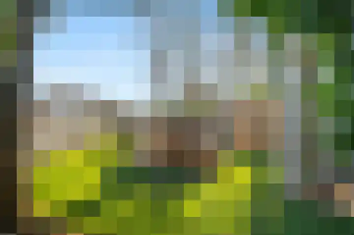 De Buitentuin 12 Apeldoorn thumbnail 40