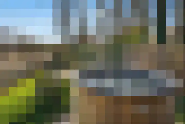 De Buitentuin 12 Apeldoorn thumbnail 41