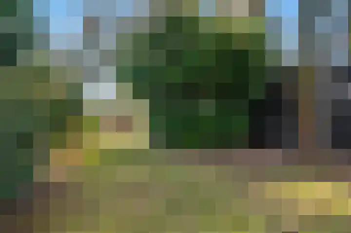 De Buitentuin 12 Apeldoorn thumbnail 43