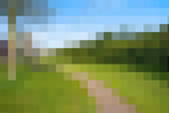De Buitentuin 12 Apeldoorn thumbnail 51