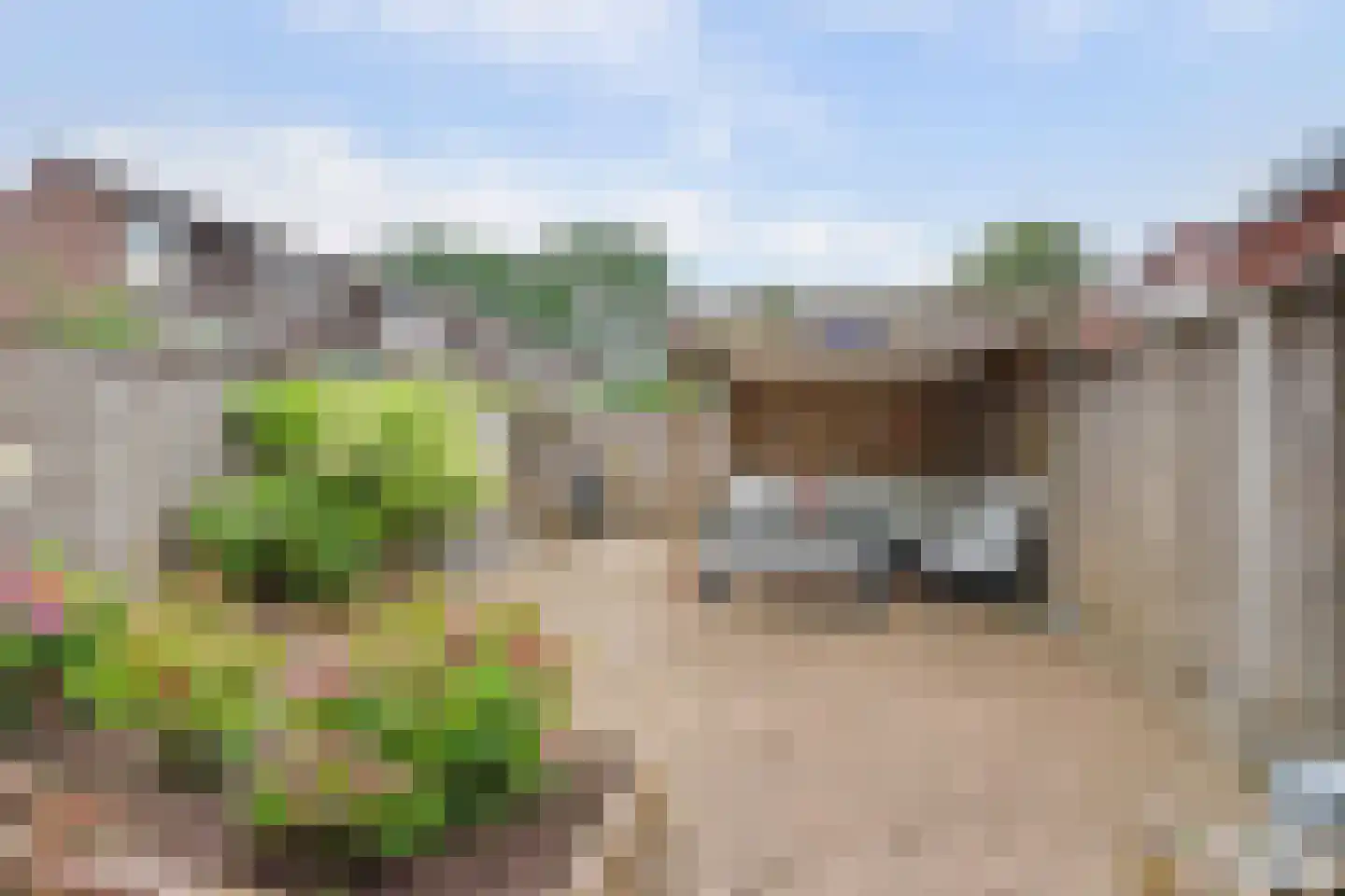 De Buizerd 10 Almelo thumbnail 25