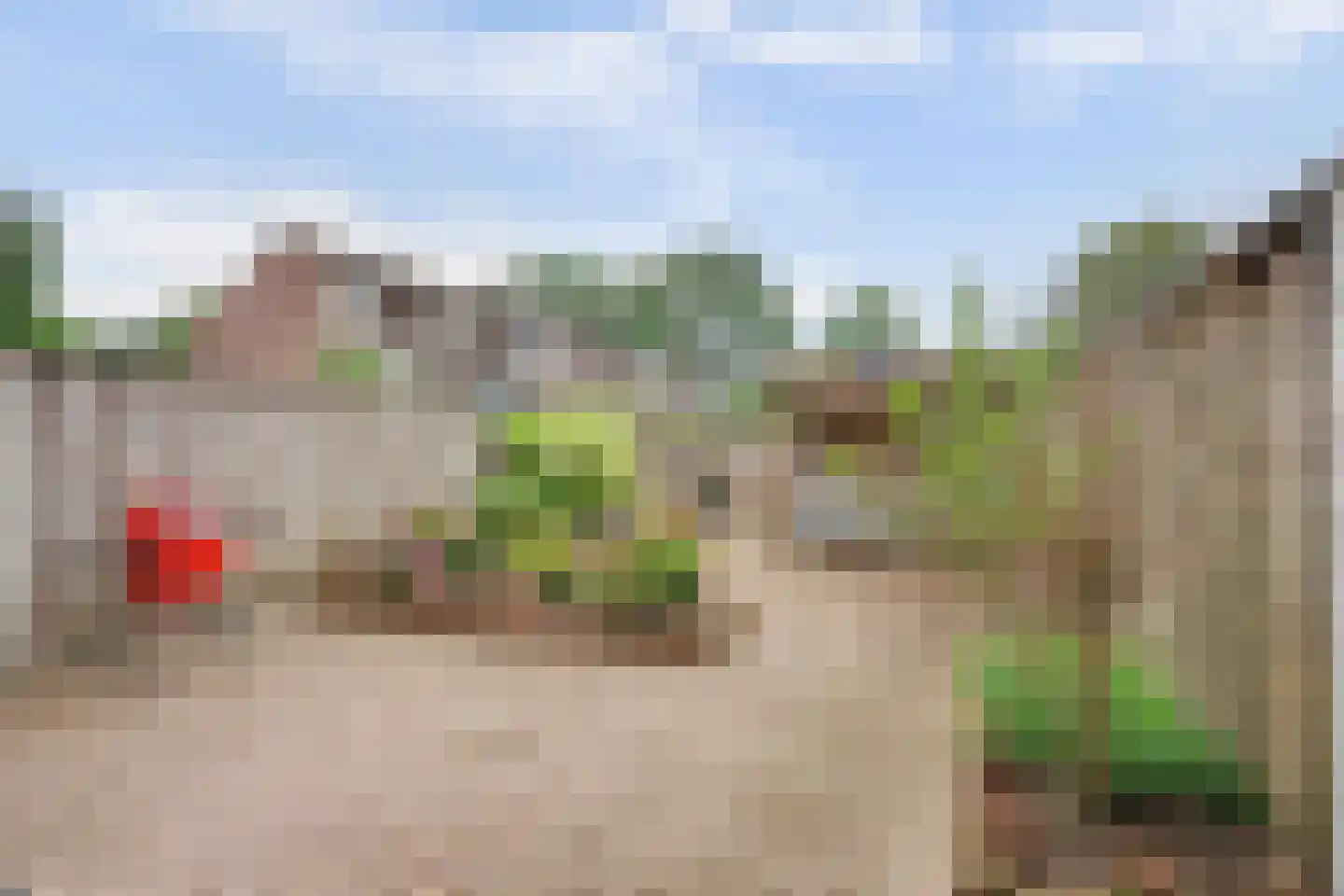 De Buizerd 10 Almelo thumbnail 27