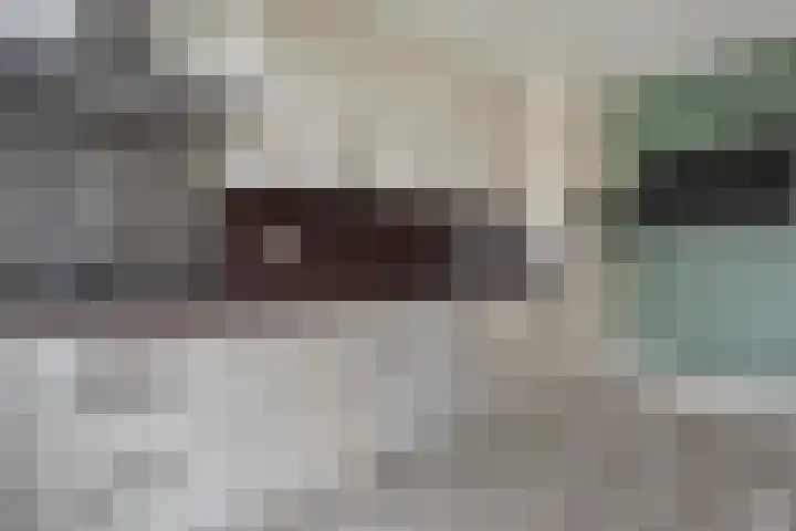 De Buizerd 17 Almelo thumbnail 12